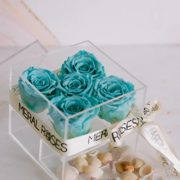 5 Rosas Eternas en estuche de acrílico