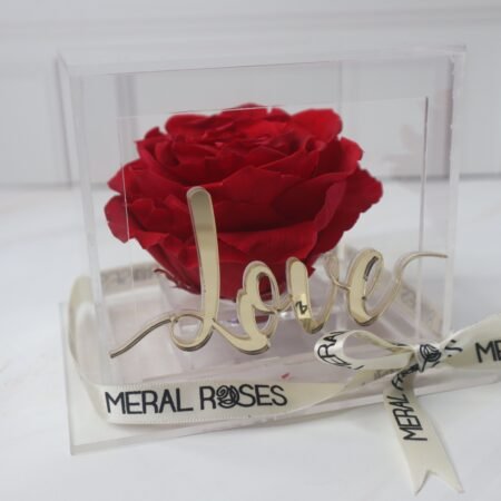 Rosa Eterna edición Bonita en estuche de acrílico