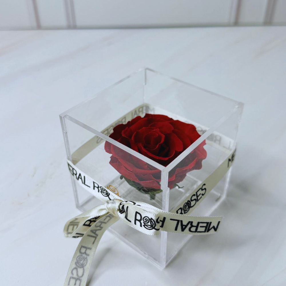 Rosa eterna Cute - Imagen 2