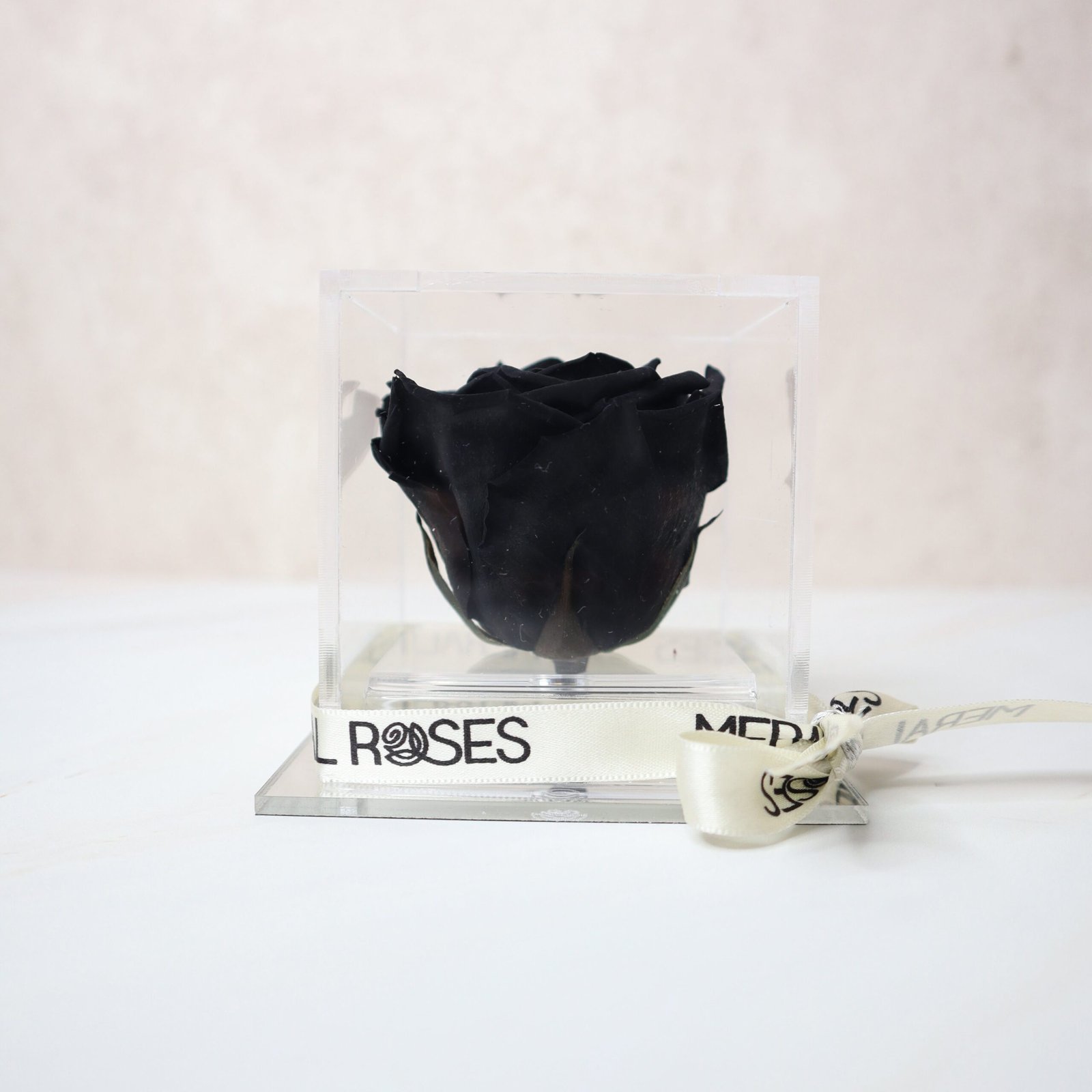 Rosa Majestic - Imagen 3