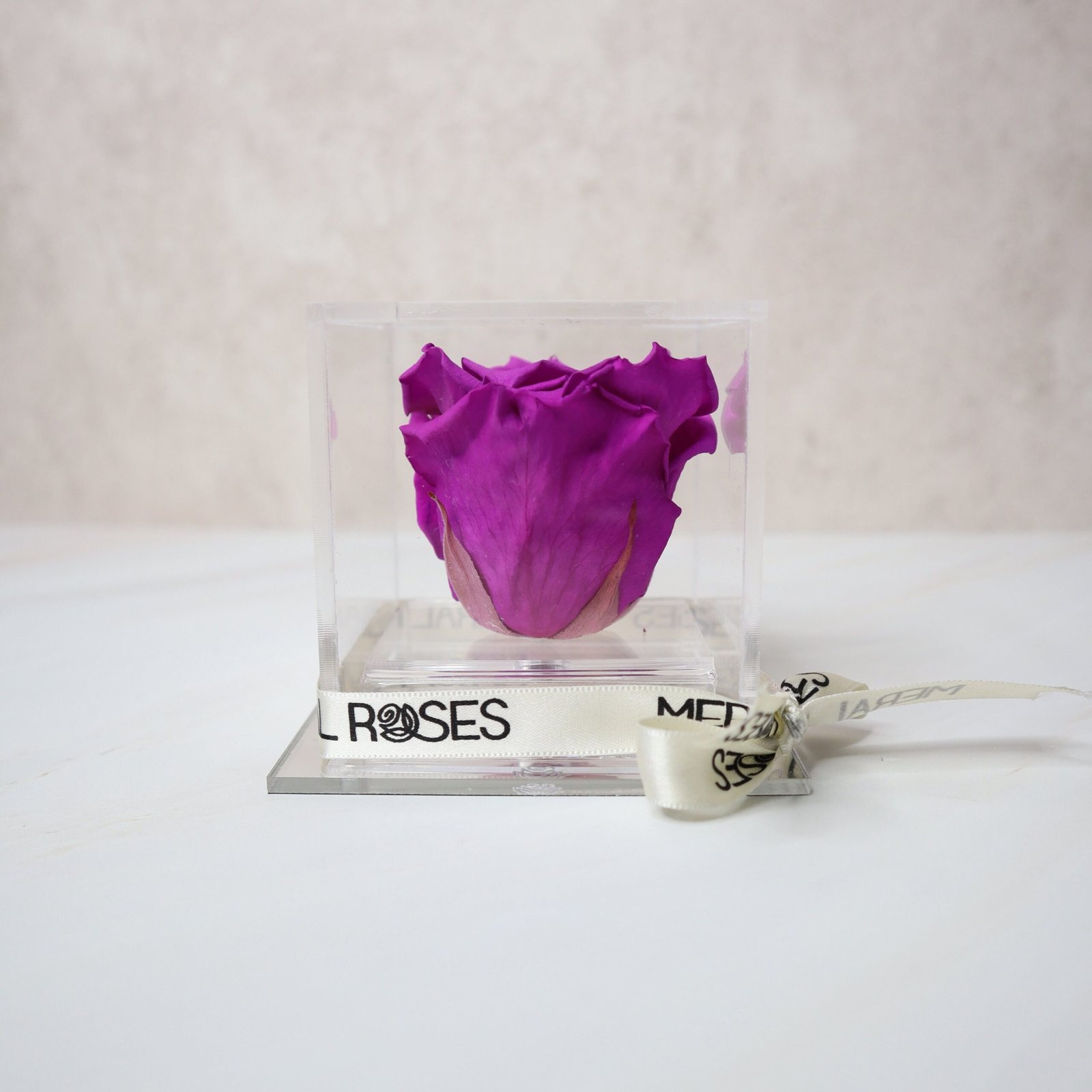 Rosa Majestic - Imagen 2