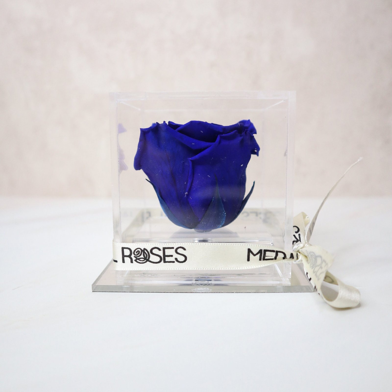 Rosa Majestic - Imagen 5