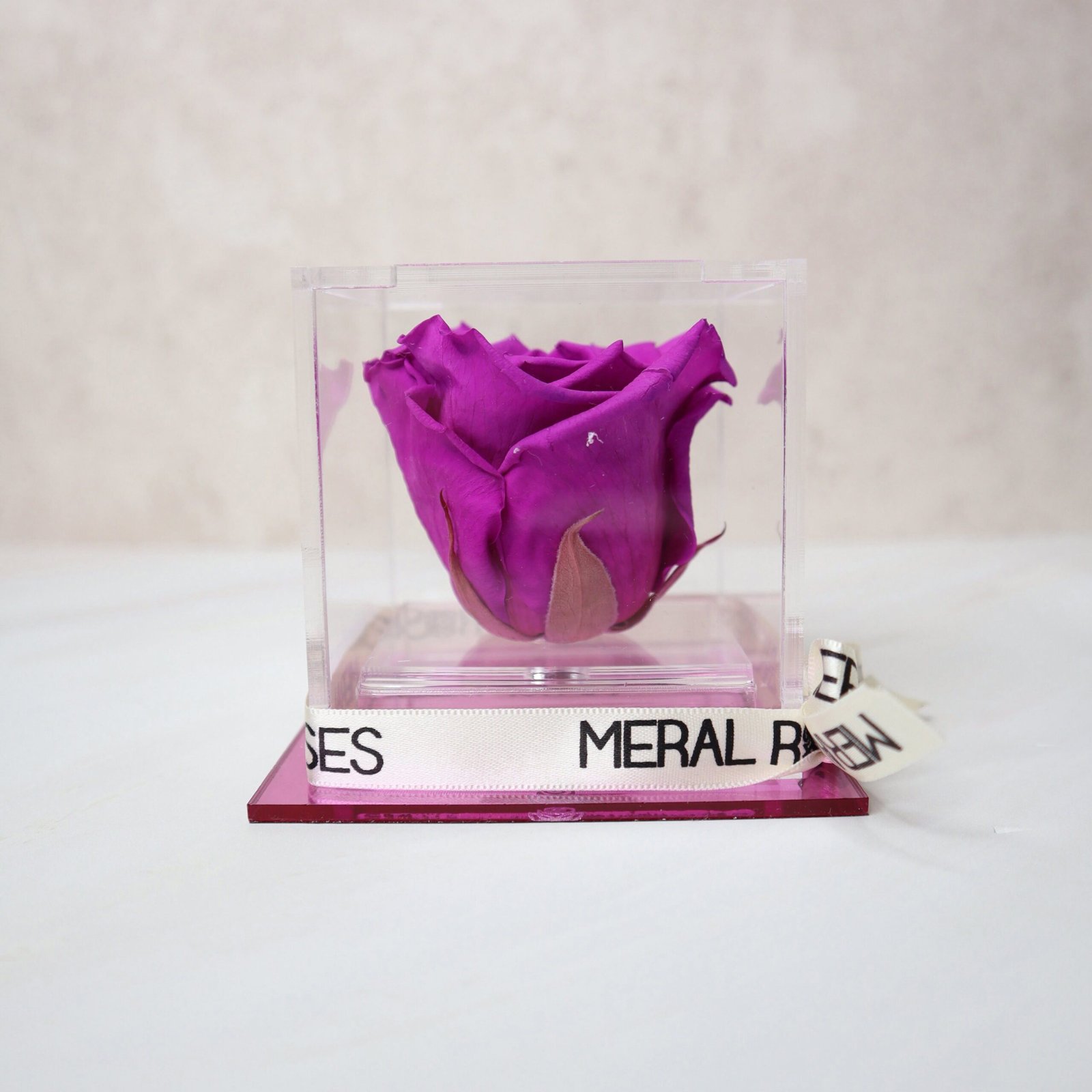 Rosa Majestic - Imagen 6