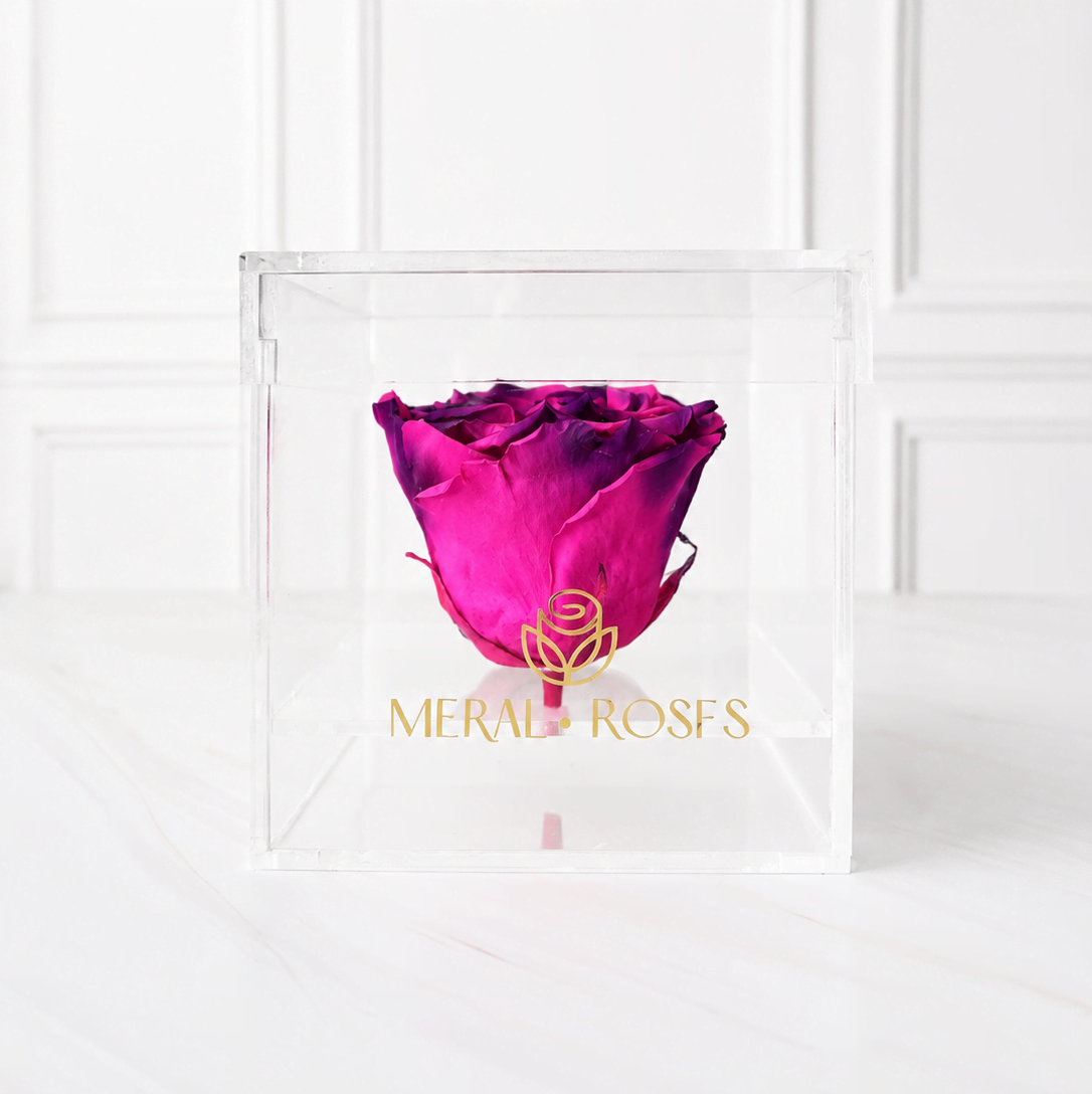 Rosa Bloom Edición Especial